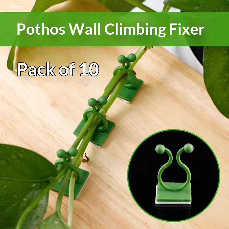 Vine Climbing Plastic - Clipes Autoadesivos para Fixação de Plantas
