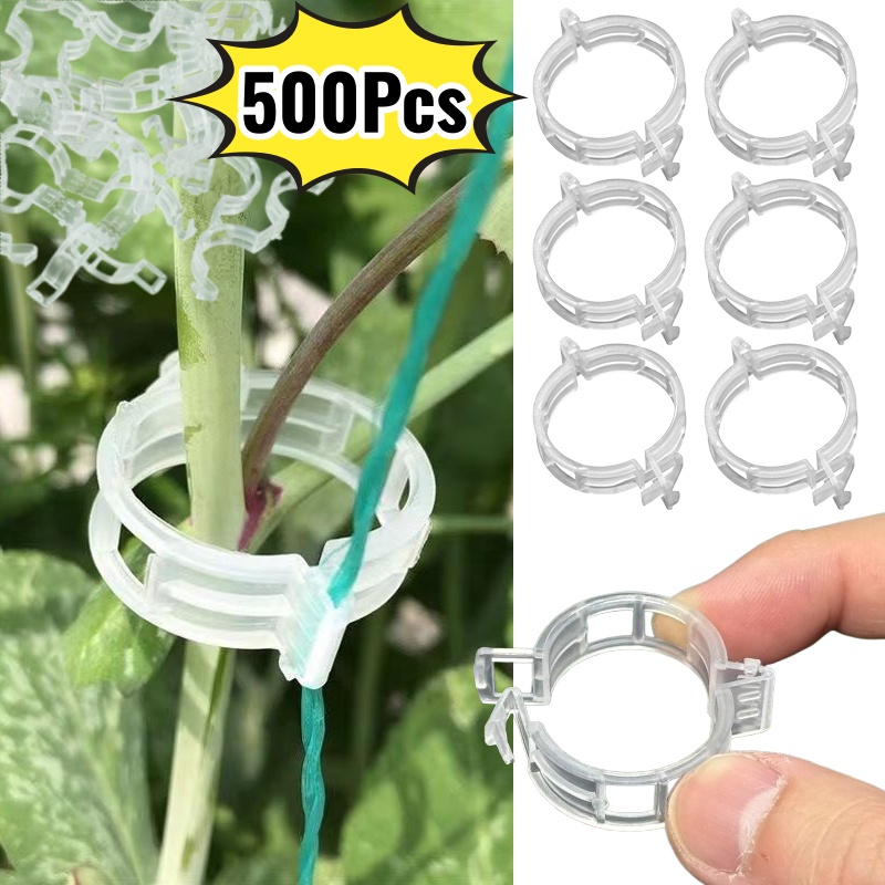 Vine Climbing Plastic - 500 Peças de Clipes de Plástico