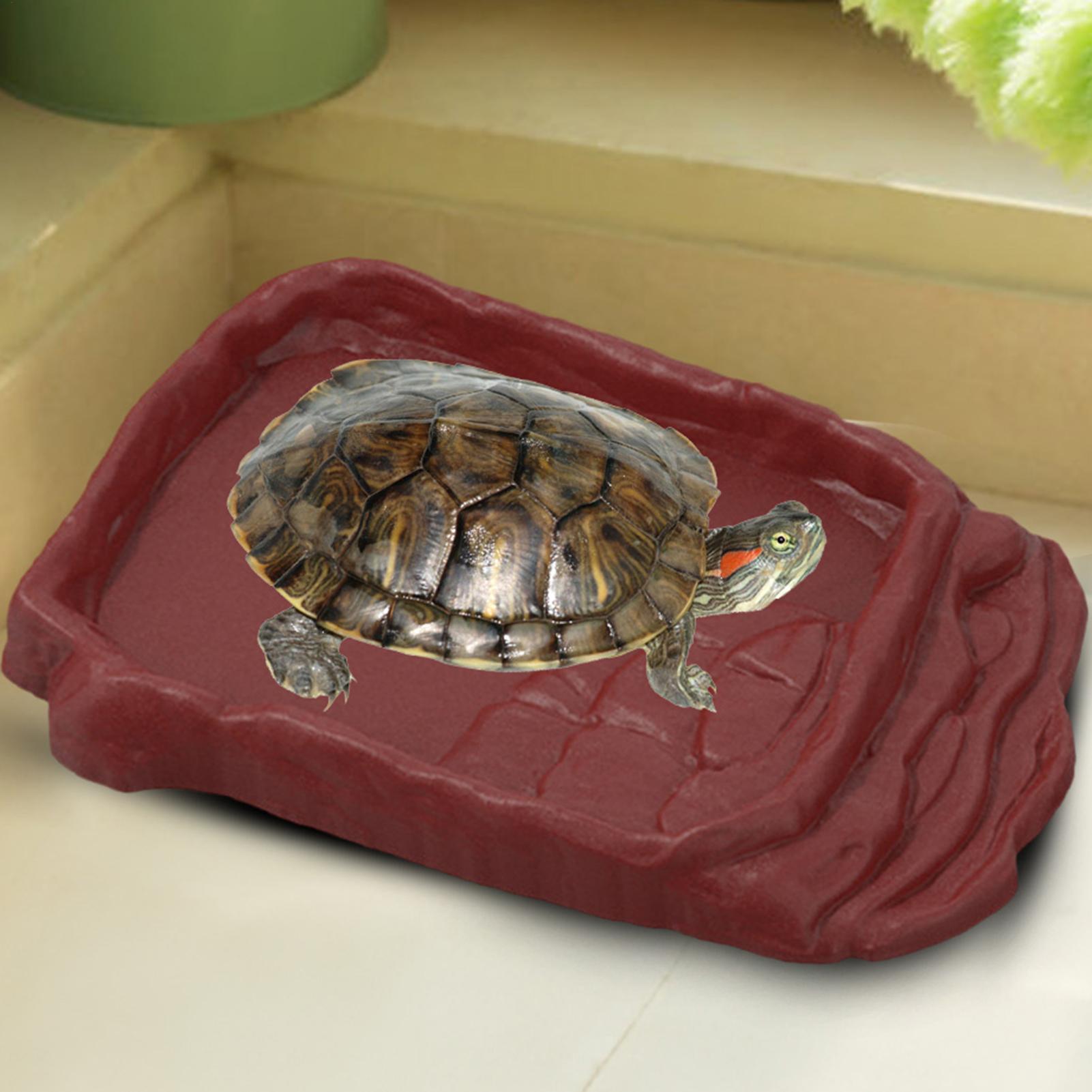 Water Dish Reptile - Bacia de Água para Tartarugas com