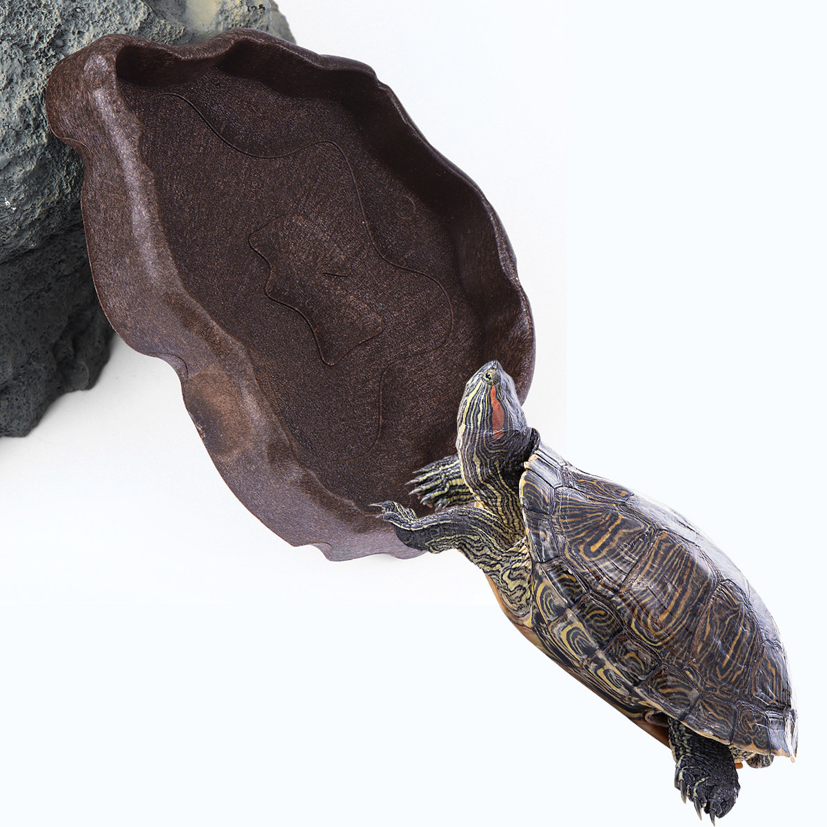 Prato de Resina para Répteis T - Water Dish Reptile avaliação e preço