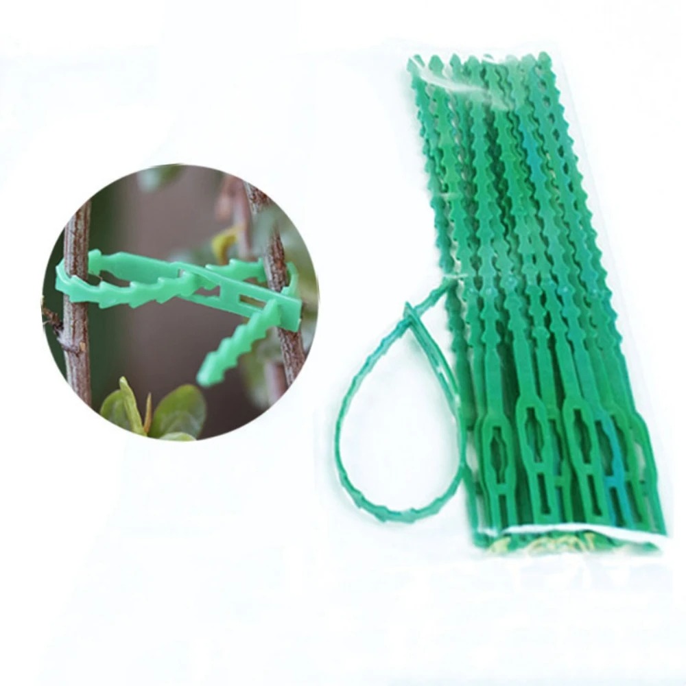 50 Peças de Abraçadeiras Plást - Vine Climbing Plastic avaliação e preço