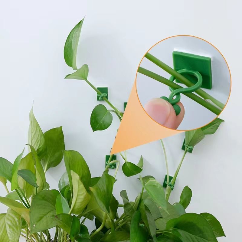 Clipes Autoadesivos para Fixaç - Vine Climbing Plastic avaliação e preço